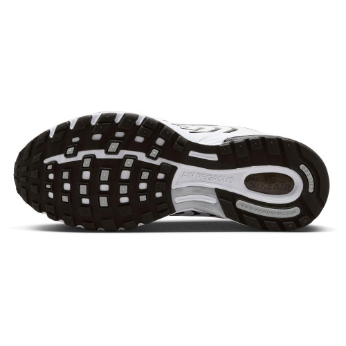 Nike Air Pegasus 2005
